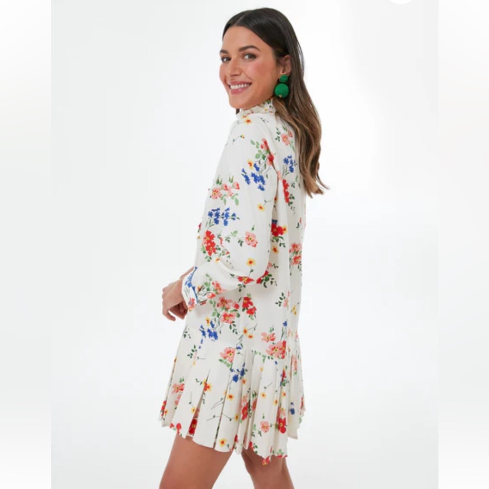 Morning Light Amaryllis Tate Dress TUCKERNUCK Pleated hem, Ruffle collar,